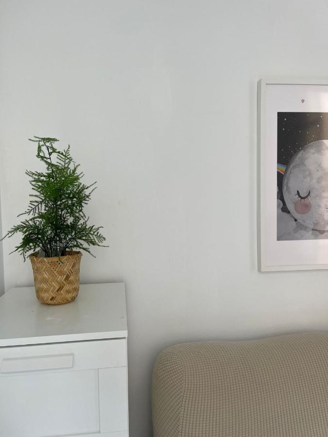 Ancha Del Carmen Appartement *